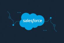 Salesforce CRM cost