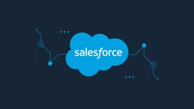 Salesforce CRM cost